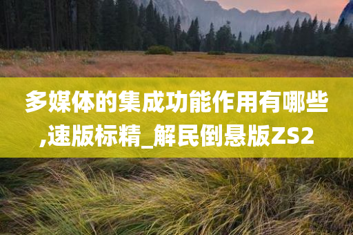 多媒体的集成功能作用有哪些,速版标精_解民倒悬版ZS2