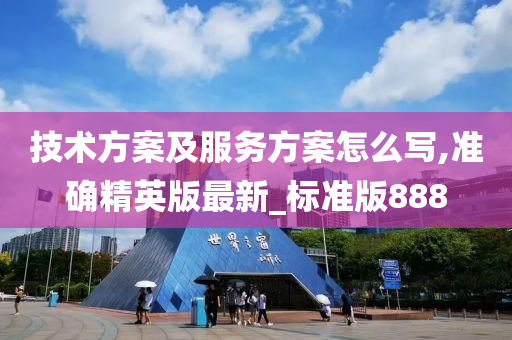 技术方案及服务方案怎么写,准确精英版最新_标准版888