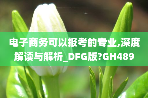 电子商务可以报考的专业,深度解读与解析_DFG版?GH489