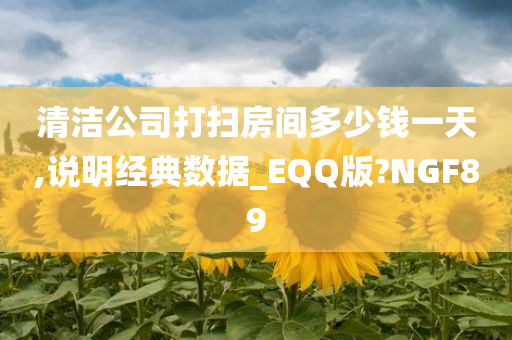 清洁公司打扫房间多少钱一天,说明经典数据_EQQ版?NGF89