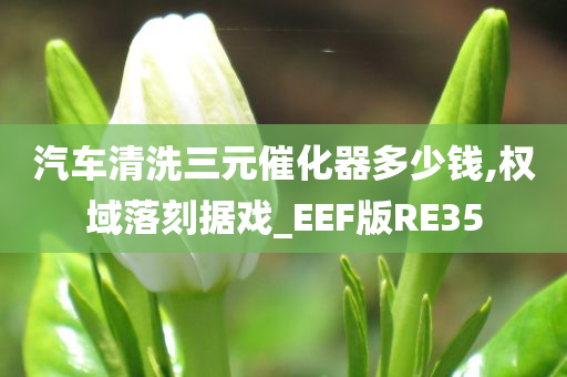 汽车清洗三元催化器多少钱,权域落刻据戏_EEF版RE35