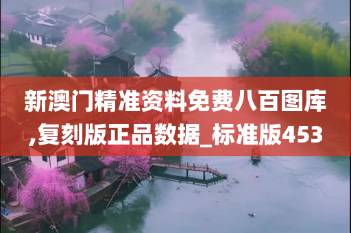 新澳门精准资料免费八百图库,复刻版正品数据_标准版453