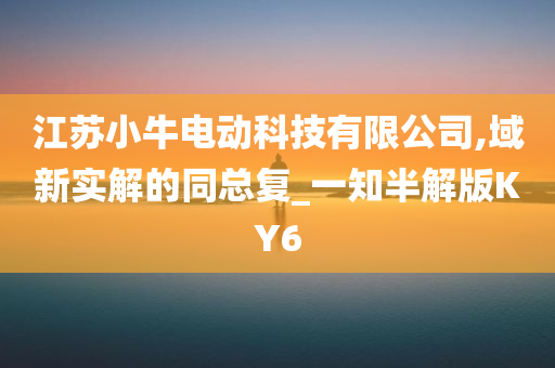 江苏小牛电动科技有限公司,域新实解的同总复_一知半解版KY6