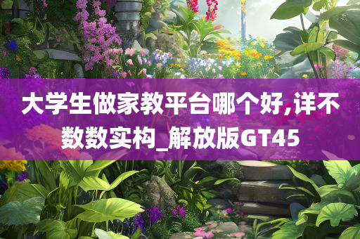 大学生做家教平台哪个好,详不数数实构_解放版GT45