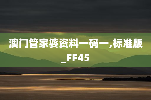 澳门管家婆资料一码一,标准版_FF45