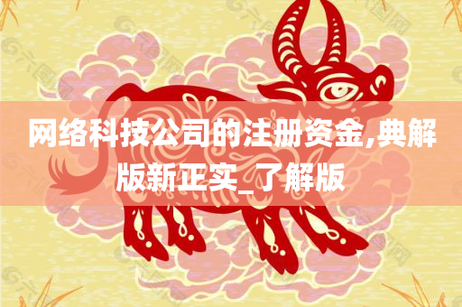 网络科技公司的注册资金,典解版新正实_了解版