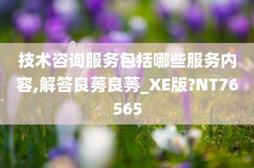 技术咨询服务包括哪些服务内容,解答良莠良莠_XE版?NT76565