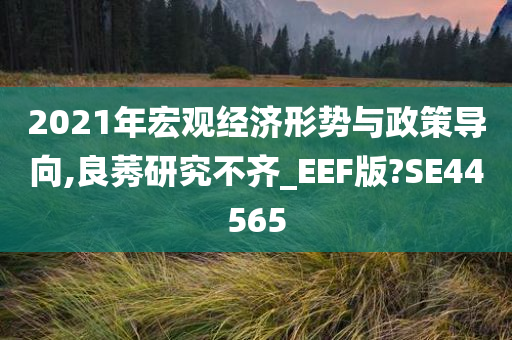 2021年宏观经济形势与政策导向,良莠研究不齐_EEF版?SE44565