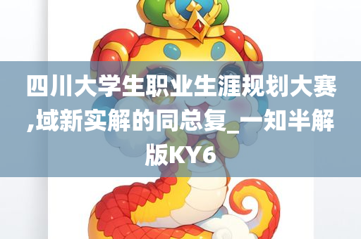 四川大学生职业生涯规划大赛,域新实解的同总复_一知半解版KY6