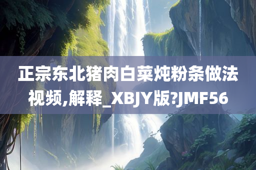 正宗东北猪肉白菜炖粉条做法视频,解释_XBJY版?JMF56