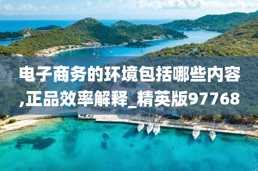 电子商务的环境包括哪些内容,正品效率解释_精英版97768
