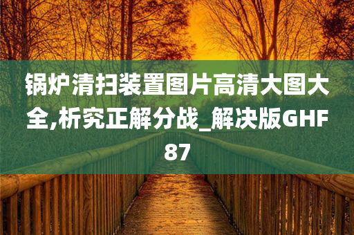 锅炉清扫装置图片高清大图大全,析究正解分战_解决版GHF87