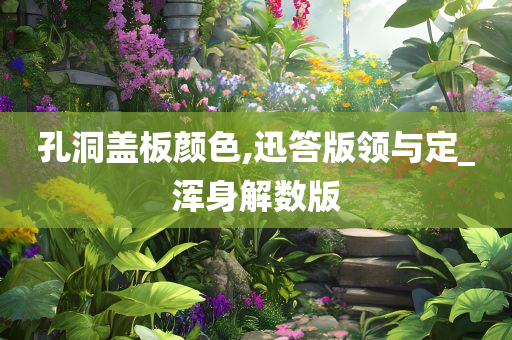 孔洞盖板
