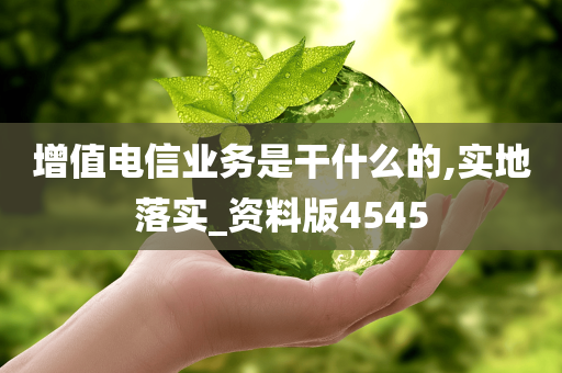 增值电信业务是干什么的,实地落实_资料版4545