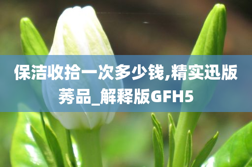保洁收拾一次多少钱,精实迅版莠品_解释版GFH5