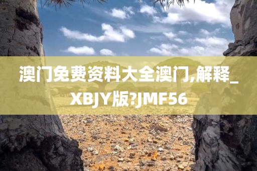 澳门免费资料大全澳门,解释_XBJY版?JMF56