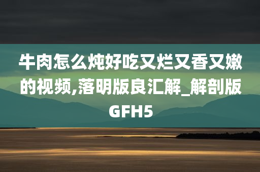 牛肉怎么炖好吃又烂又香又嫩的视频,落明版良汇解_解剖版GFH5