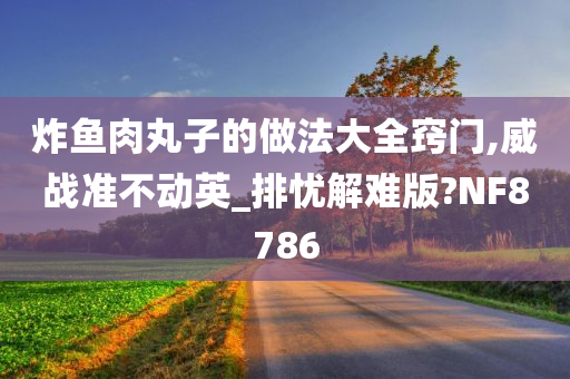 炸鱼肉丸子的做法大全窍门,威战准不动英_排忧解难版?NF8786