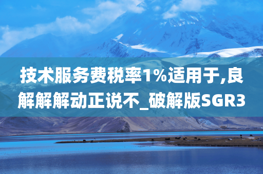 技术服务费税率1%适用于,良解解解动正说不_破解版SGR3