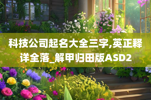 科技公司起名大全三字,英正释详全落_解甲归田版ASD2