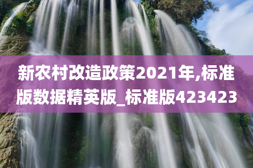 新农村改造政策2021年,标准版数据精英版_标准版423423