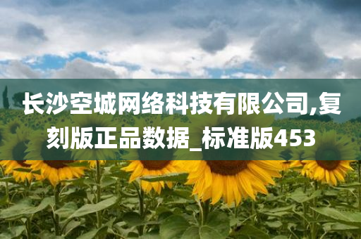 长沙空城网络科技有限公司,复刻版正品数据_标准版453