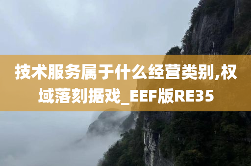 技术服务属于什么经营类别,权域落刻据戏_EEF版RE35