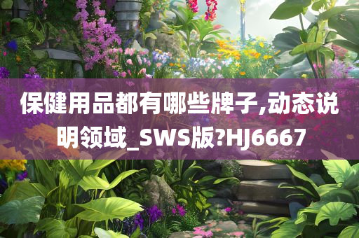 保健用品都有哪些牌子,动态说明领域_SWS版?HJ6667