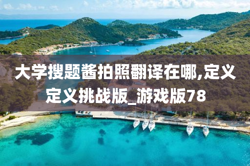 大学搜题酱拍照翻译在哪,定义定义挑战版_游戏版78