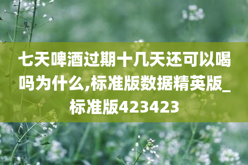 七天啤酒过期十几天还可以喝吗为什么,标准版数据精英版_标准版423423