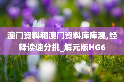 澳门资料和澳门资料库库澳,经释读速分挑_解元版HG6今晚必出三肖2025_2025新澳门精准免费提供·精确判断