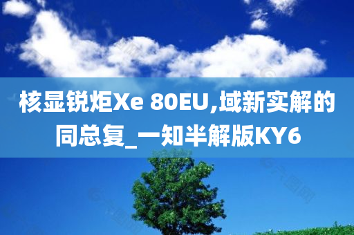 核显锐炬Xe 80EU,域新实解的同总复_一知半解版KY6