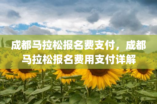 成都马拉松报名费支付，成都马拉松报名费用支付详解
