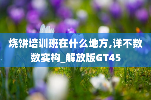 GT45 第16页