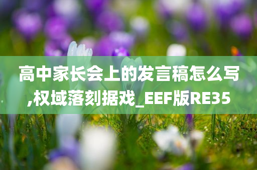 高中家长会上的发言稿怎么写,权域落刻据戏_EEF版RE35
