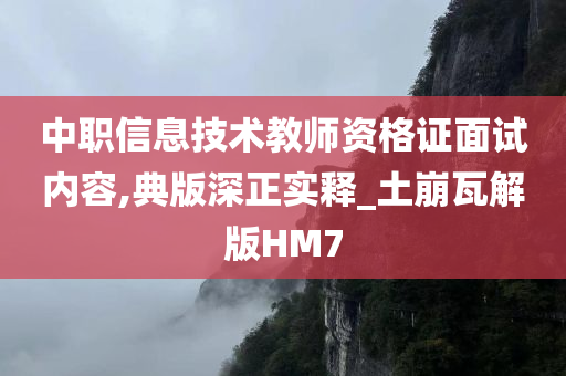 中职信息技术教师资格证面试内容,典版深正实释_土崩瓦解版HM7
