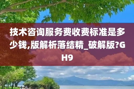 技术咨询服务费收费标准是多少钱,版解析落结精_破解版?GH9