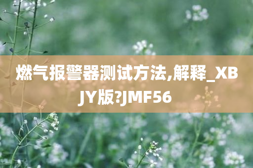 JMF56 第5页