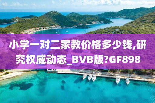 小学一对二家教价格多少钱,研究权威动态_BVB版?GF898