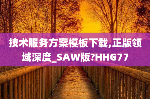 技术服务方案模板下载,正版领域深度_SAW版?HHG77
