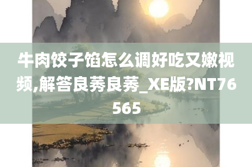 牛肉饺子馅怎么调好吃又嫩视频,解答良莠良莠_XE版?NT76565