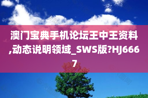 澳门宝典手机论坛王中王资料,动态说明领域_SWS版?HJ6667