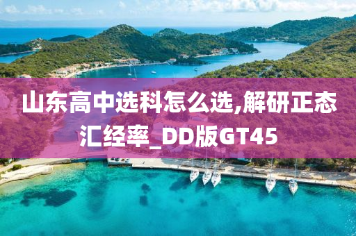 山东高中选科怎么选,解研正态汇经率_DD版GT45