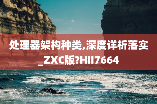 处理器架构种类,深度详析落实_ZXC版?HII7664