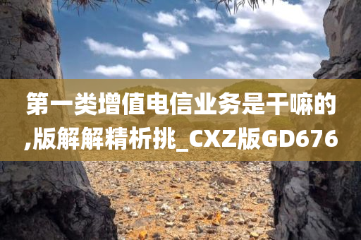 版解精析 第8页
