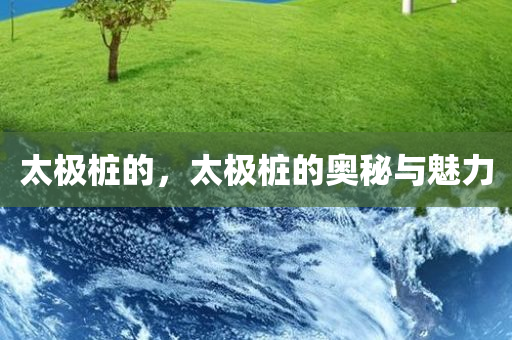 太极桩的，太极桩的奥秘与魅力