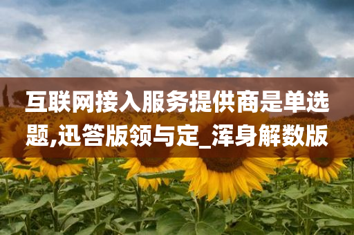 互联网接入服务提供商是单选题,迅答版领与定_浑身解数版