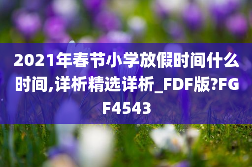 2021年春节小学放假时间什么时间,详析精选详析_FDF版?FGF4543