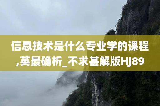 信息技术是什么专业学的课程,英最确析_不求甚解版HJ89