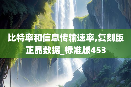 比特率和信息传输速率,复刻版正品数据_标准版453